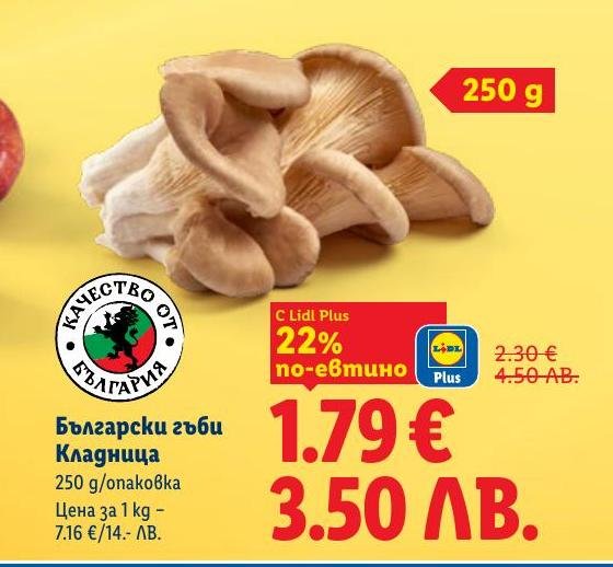 Вкусни и свежи български гъби Кладница с тегло 250 грама, предлагани на специална цена с 22% отстъпка за притежателите на Lidl Plus карта.