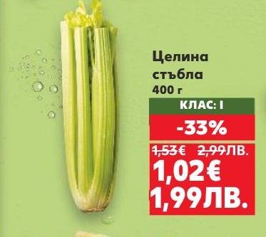 Свежи стъбла целина с клас I качество, подходящи за салати, супи и здравословни ястия.