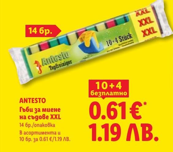 ANTESTO Гъби за миене на съдове XXL в Лидл.