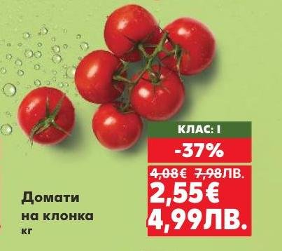 Свежи домати на клонка клас I с намаление.