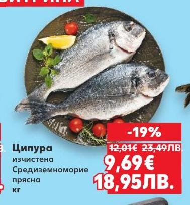 Прясната изчистена ципура от Средиземноморието е отличен избор за здравословно и вкусно хранене.