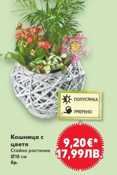 Кошница с цветя в Кауфланд.