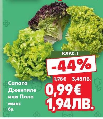 Свежа салата Джентиле или Лоло микс с 44% отстъпка.