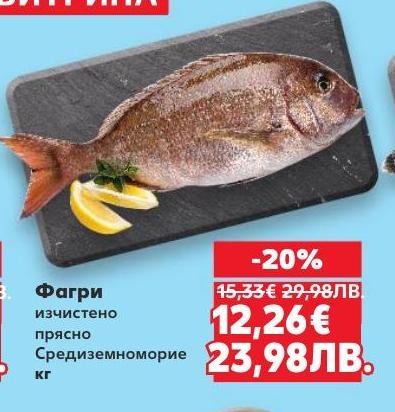 Фагри прясно изчистено от Средиземноморието сега на специална цена.