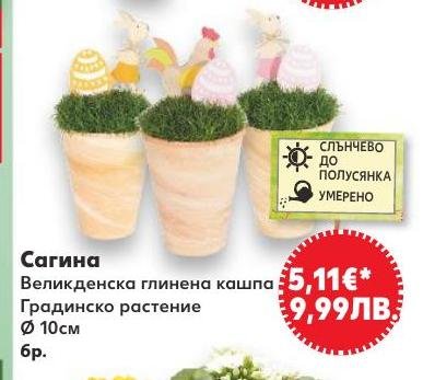 Великденска глинена кашпа Сагина в Кауфланд.