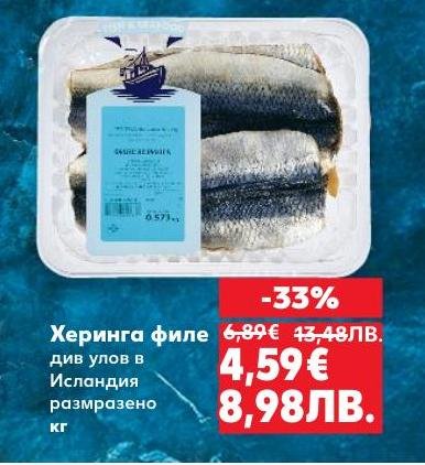 Вкусно и свежо херинга филе от див улов в Исландия, размразено и готово за приготвяне.