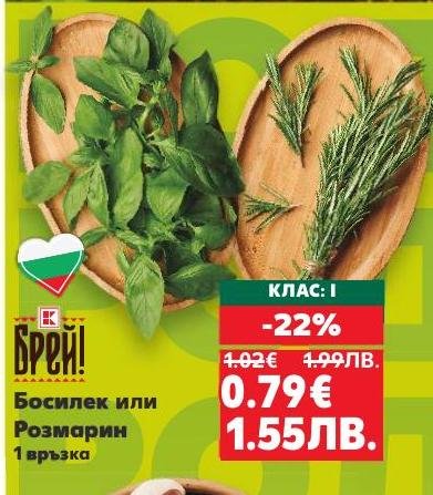 Свеж босилек или розмарин клас I с 22% отстъпка