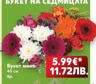 Букет микс 40 см – Кауфланд – Цена