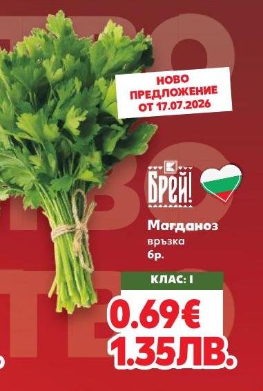Магданоз връзка бр – Кауфланд – Цена